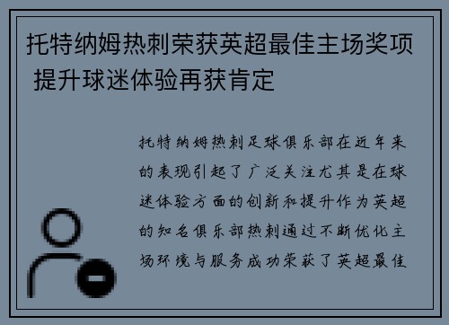 托特纳姆热刺荣获英超最佳主场奖项 提升球迷体验再获肯定